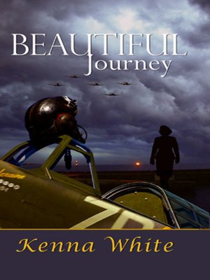 cover image of Beautiful Journey